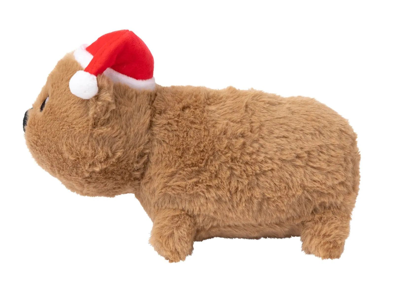 Felix navidad the wombat