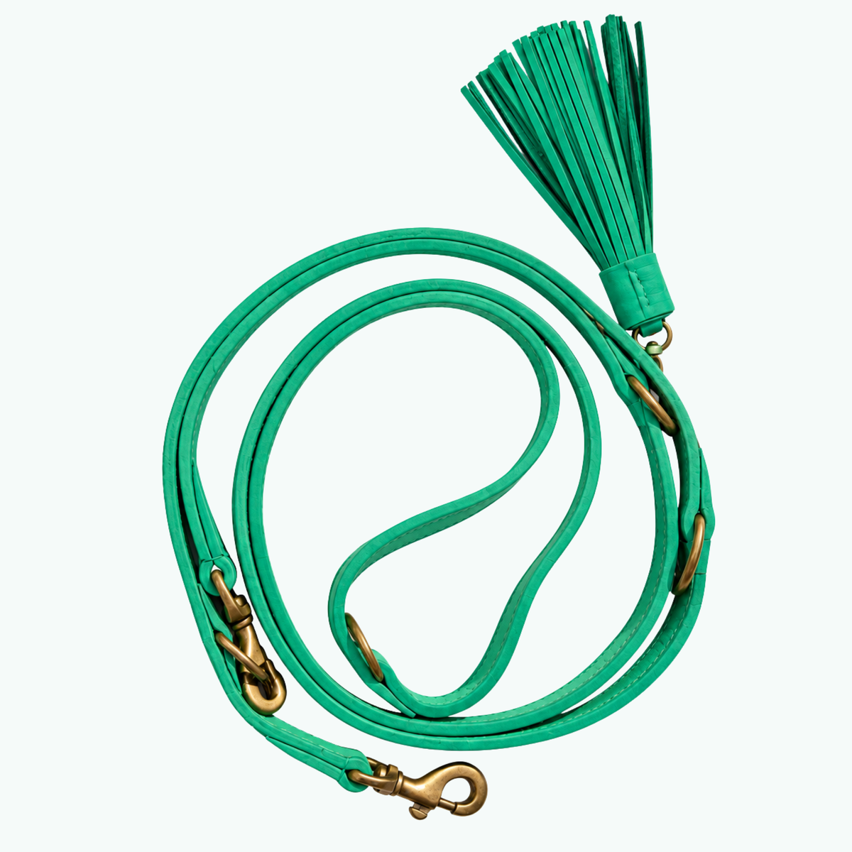 Free Spirit hondenriem M van Dog with a Mission: extra lange turquoise leren hondenriem, 250 cm en verstelbaar
