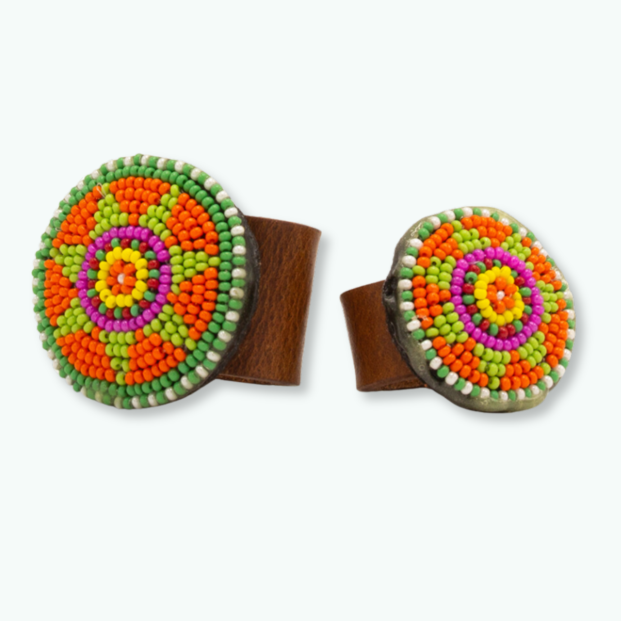 Goa_Treasure_Oranje_Dog with a Mission