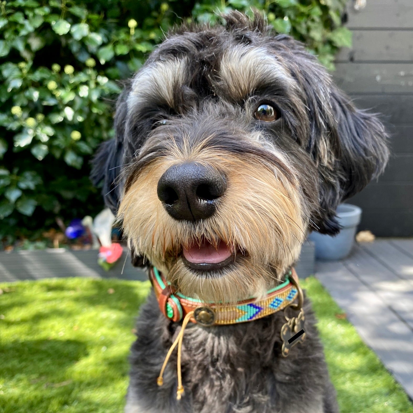 Beads Indi Moon Dog Collar XS (Neck Size 23-29 cm / 2 cm)