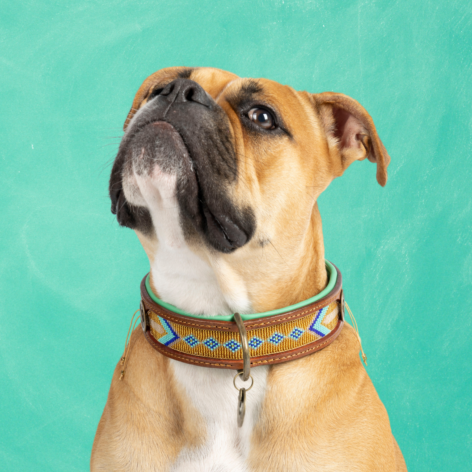 Beads Indi Moon Hondenhalsband XL (Halsomvang 47-57 cm / 4 cm)