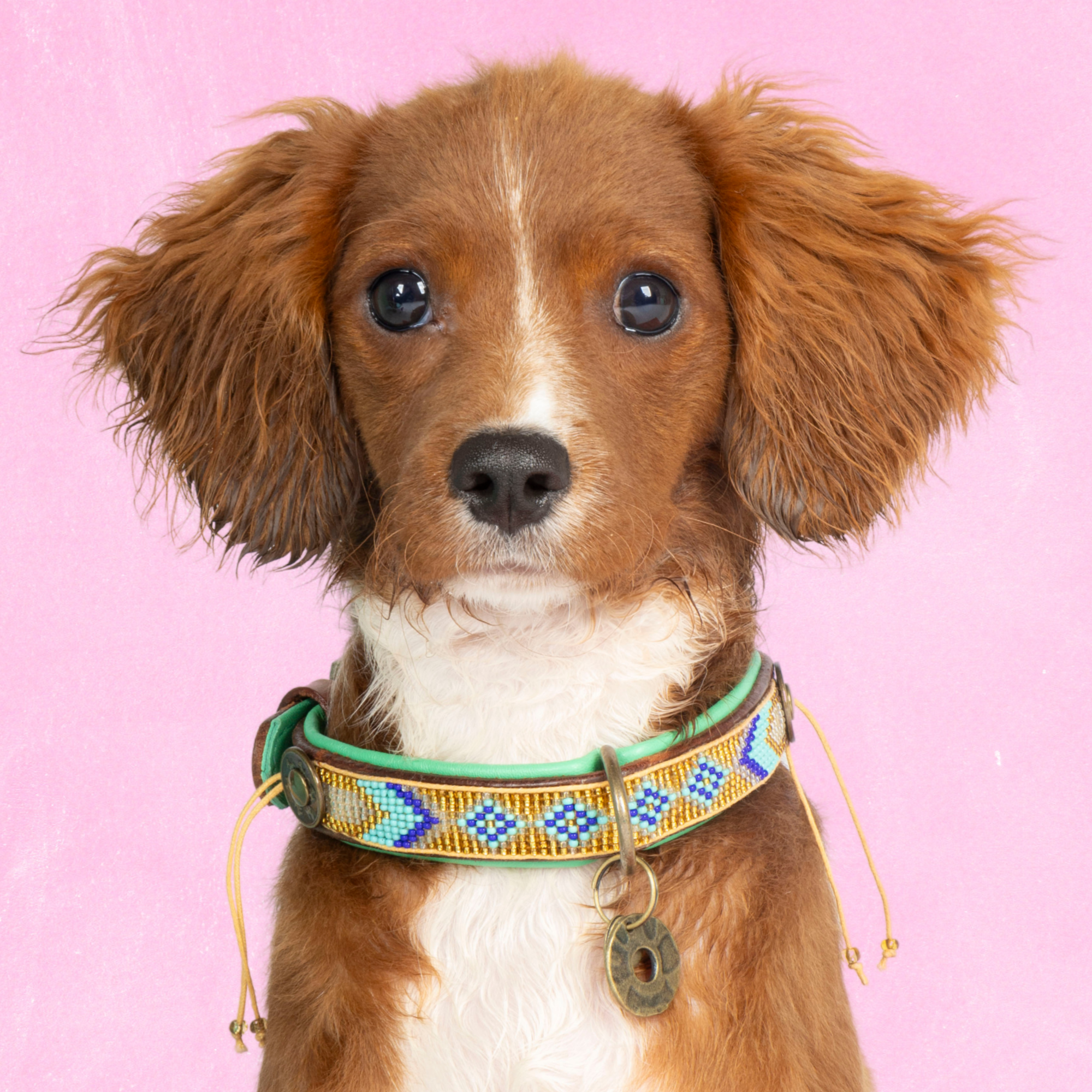 Beads Indi Moon Hondenhalsband XS (Halsomvang 23-29 cm / 2 cm)