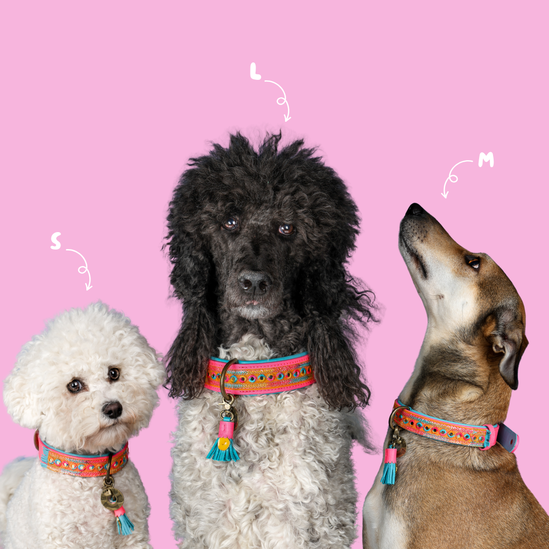 Indian Summer hondenhalsbanden alle maten - Dog with a Mission handgemaakt leren halsbanden
