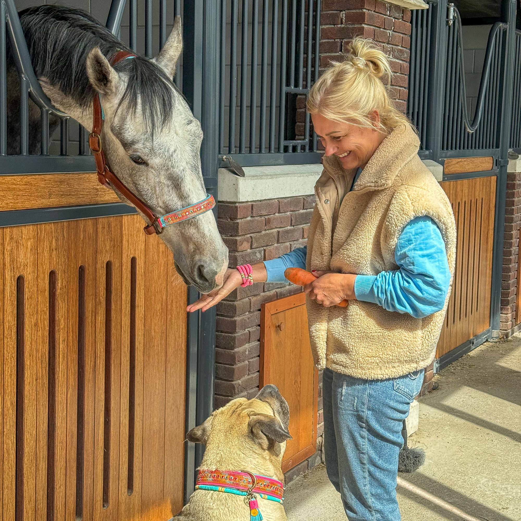 Indian Summer Paardenhalster - Cob