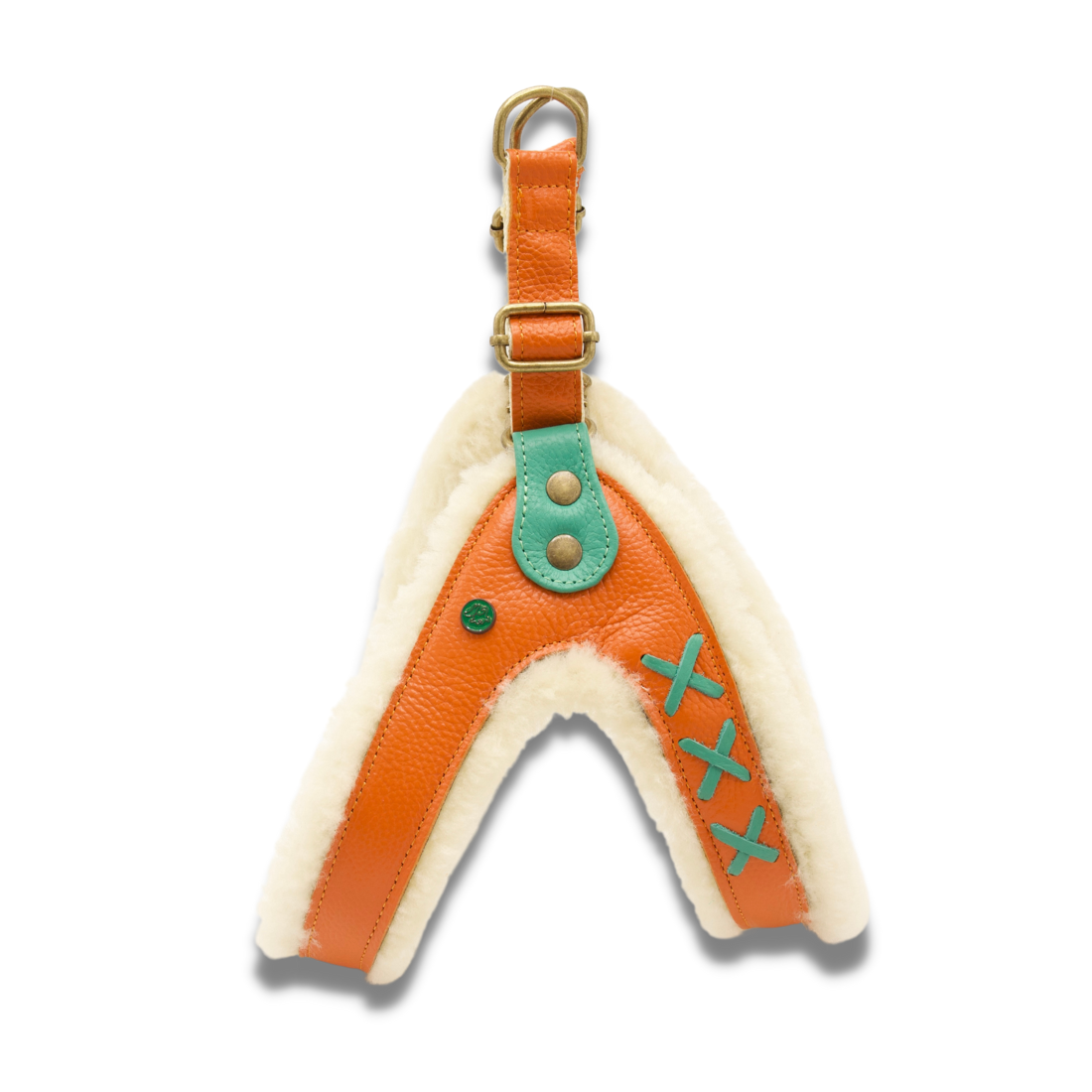 Jottum Hondentuigje DWAM Dog with a Mission