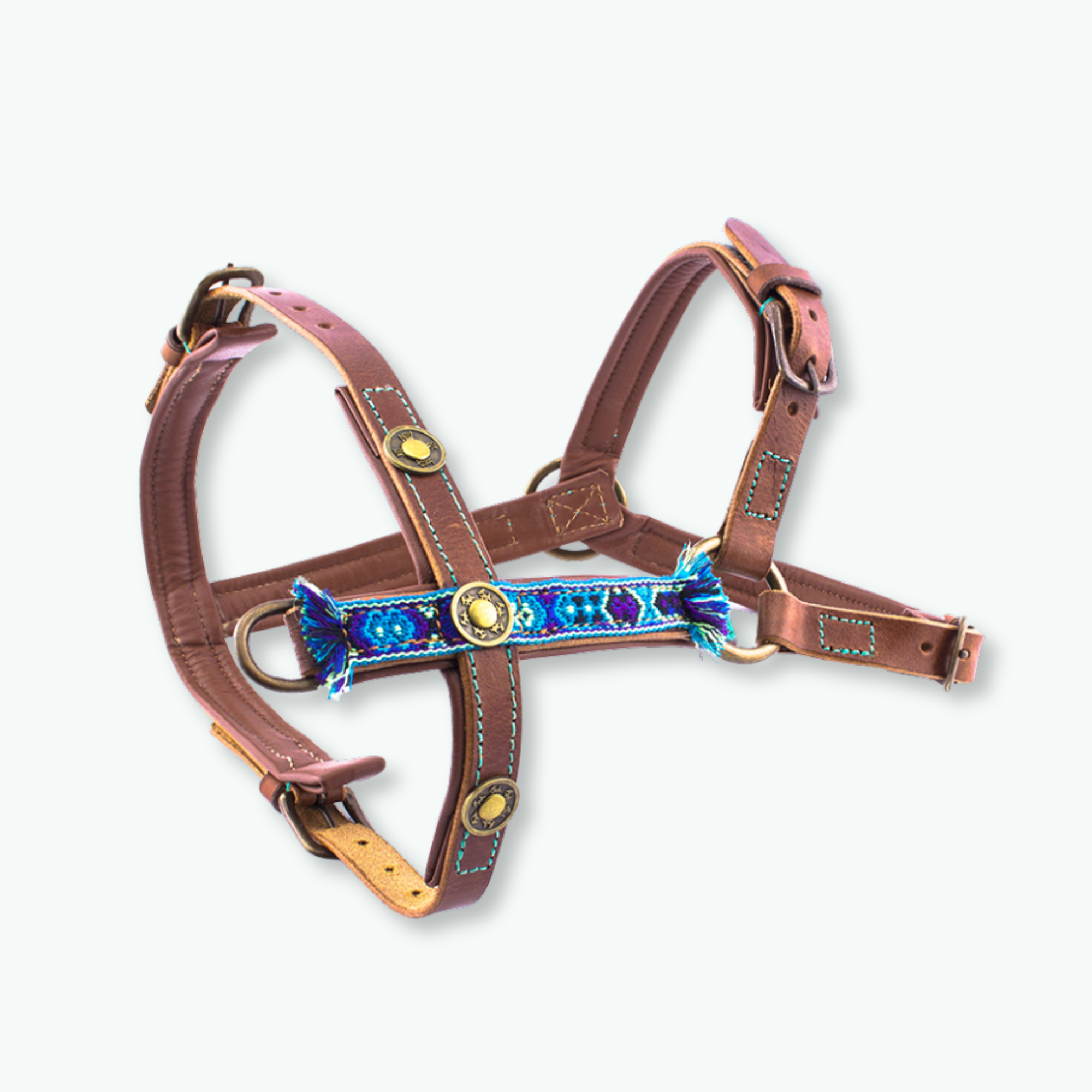 Juan_Tuigje_Dog with a Mission_DWAM