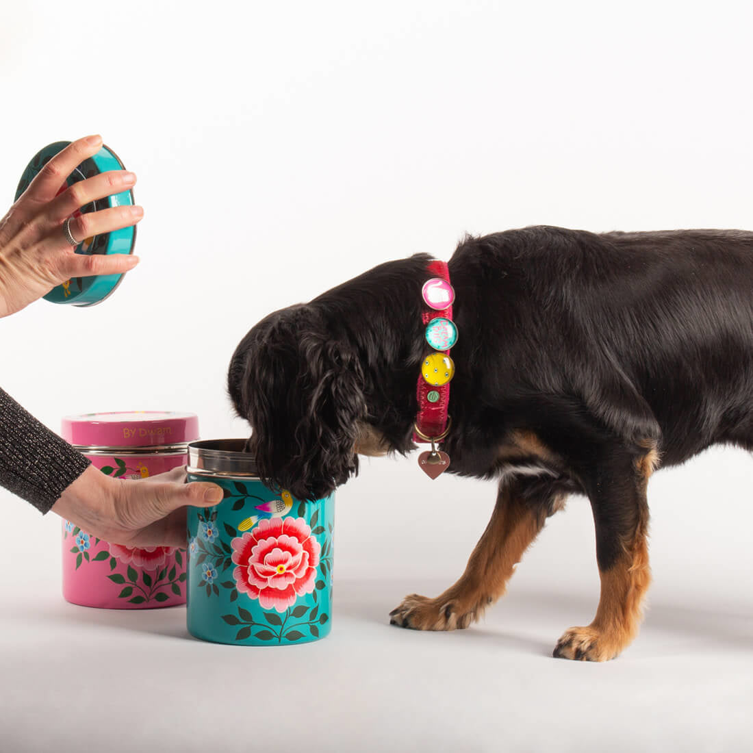 KOEKBLIK_FLOWERFEST_ROZE_TURQUOISE_METHOND_DWAM_DOGWITHAMISSION_1100x1100px