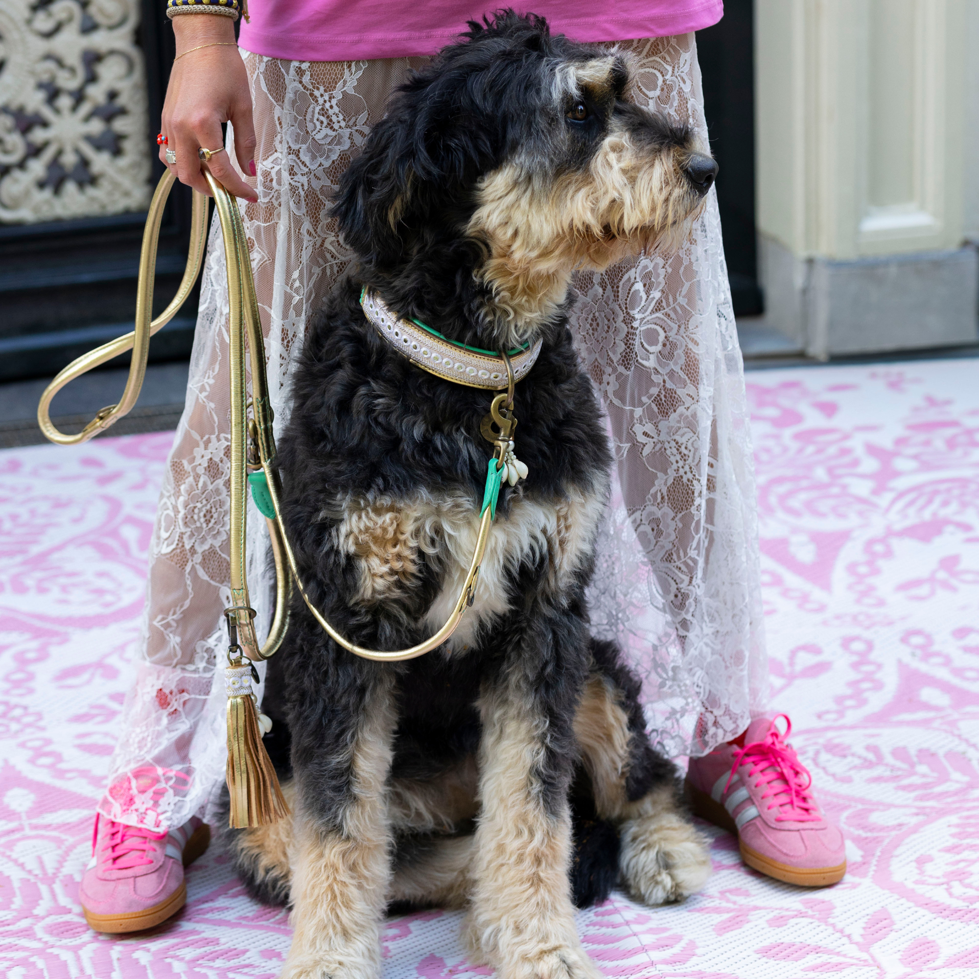 Love Story Grote Kwast Hondenriem