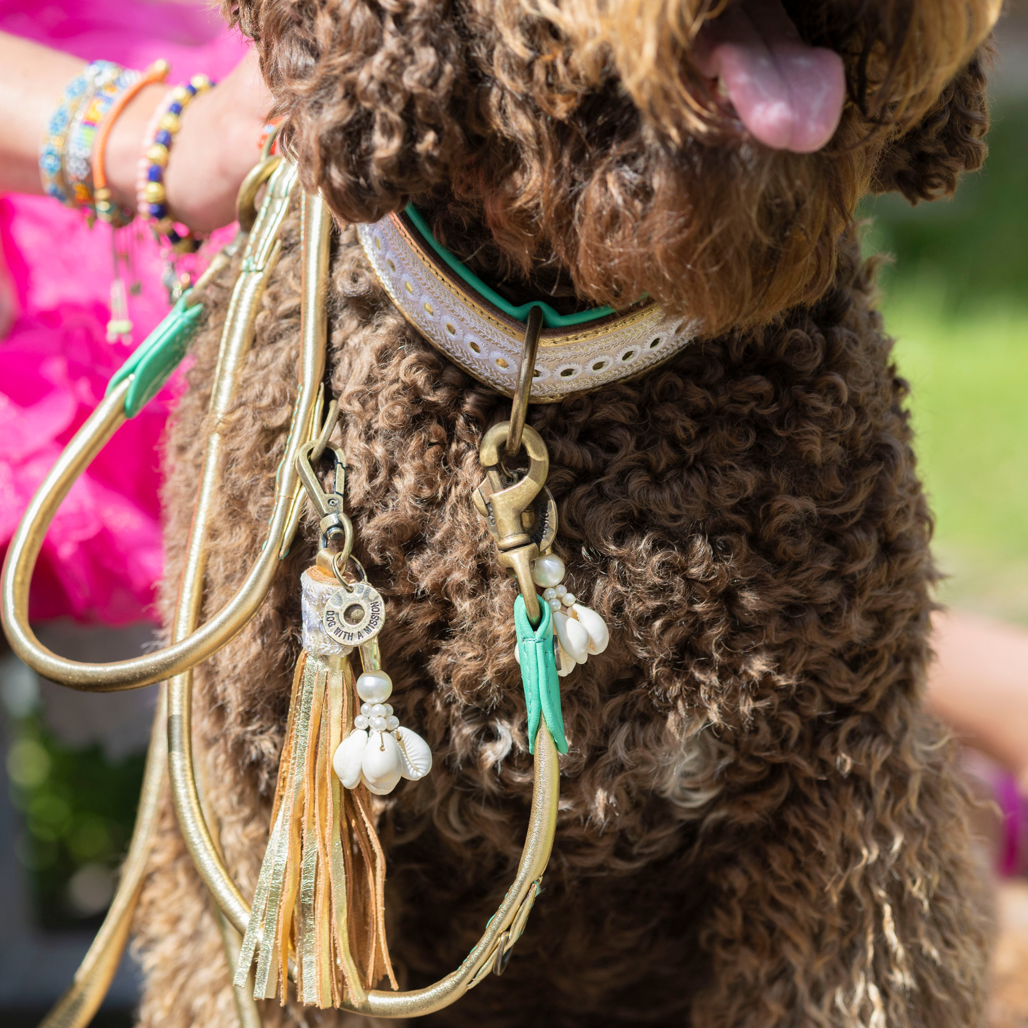 Love Story Grote Kwast Hondenriem