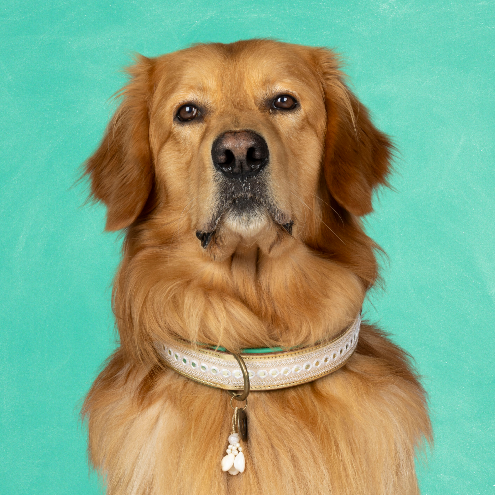 Love Story Hondenhalsband XL (Halsomvang  47-57 cm / 4 cm)