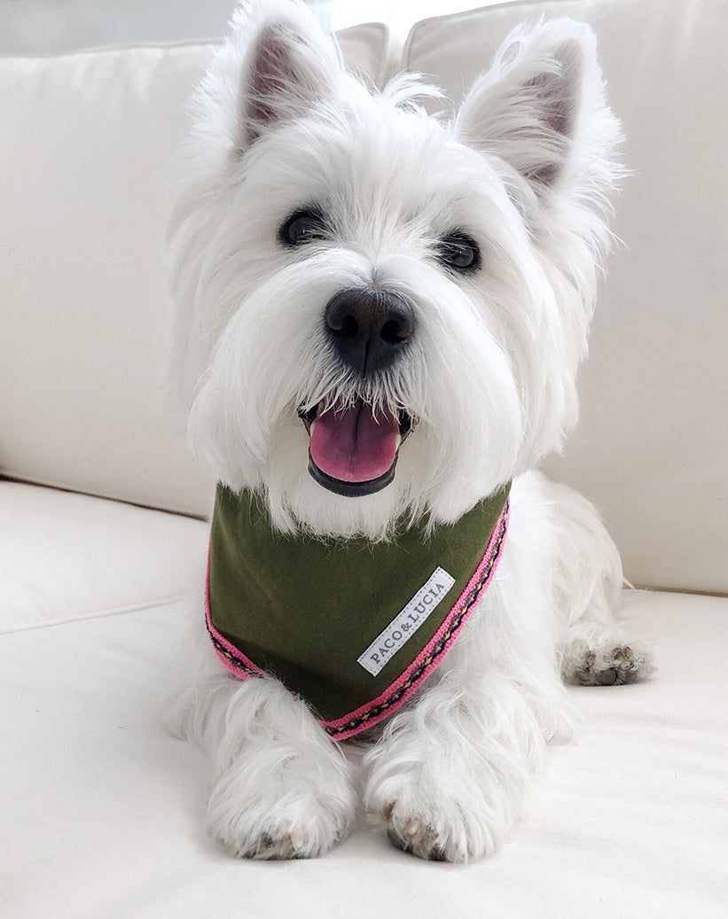 Murphy_Olive+Bandana_Product