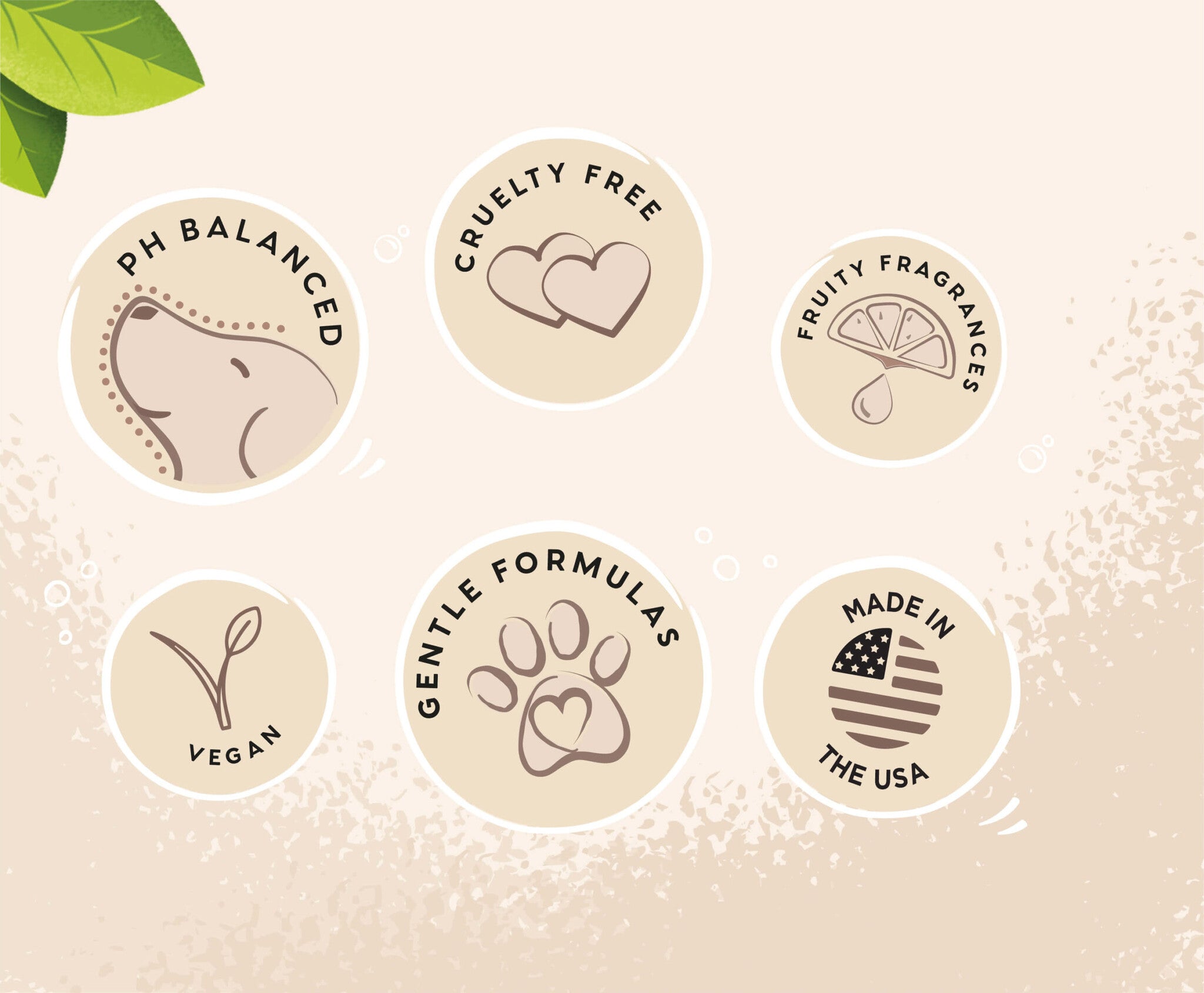 OAP_Web-Coconut-5-scaled