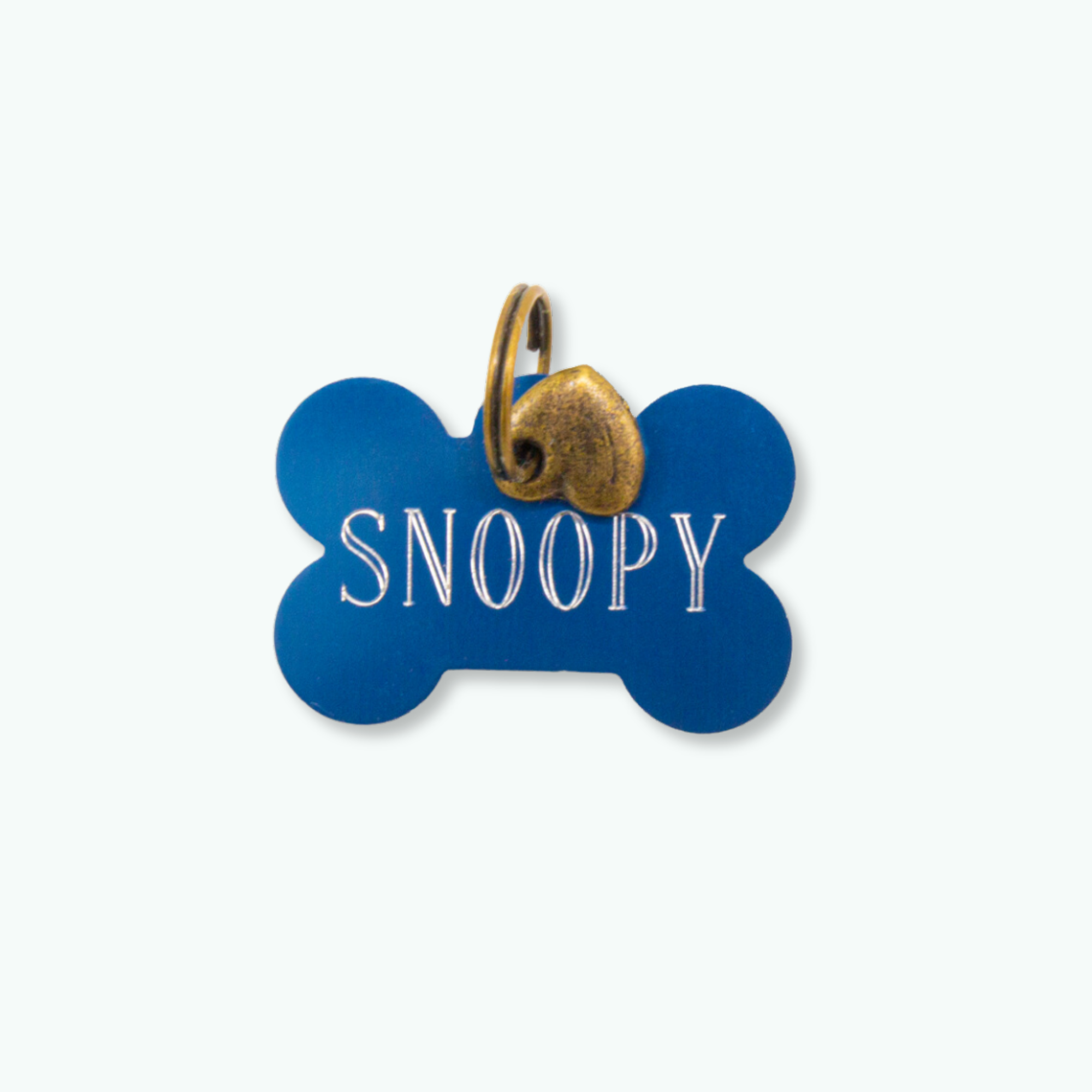 Penning turquoise botje L - Dog with a Mission