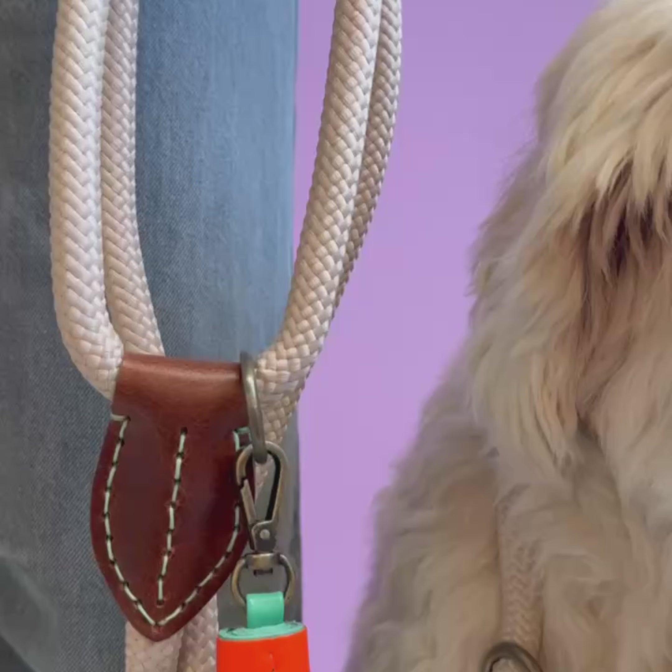 Long John Sand sliplead hondenriem touw met stopper zandkleur - Dog with a Mission