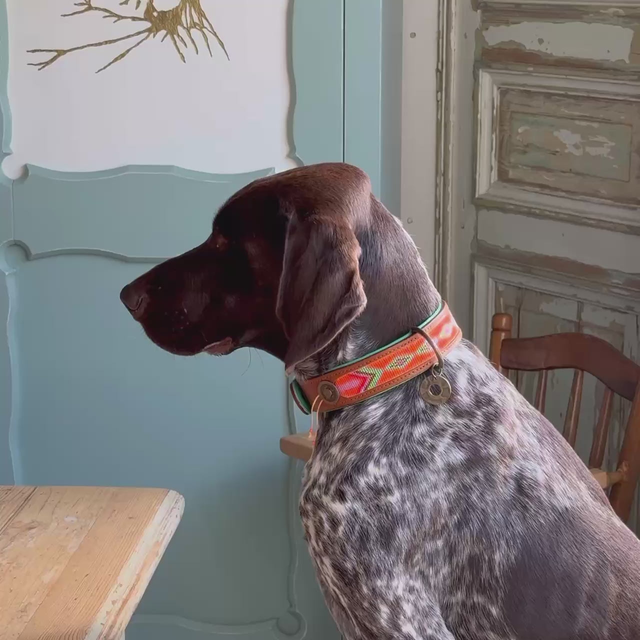 Tiger Lily hondenhalsband oranje kralen handgemaakt - Dog with a Mission