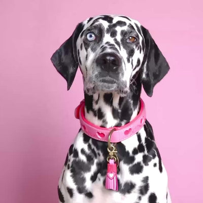 Roze leren hondenhalsband Sweety met hartjesprint maat M - Dog with a Mission