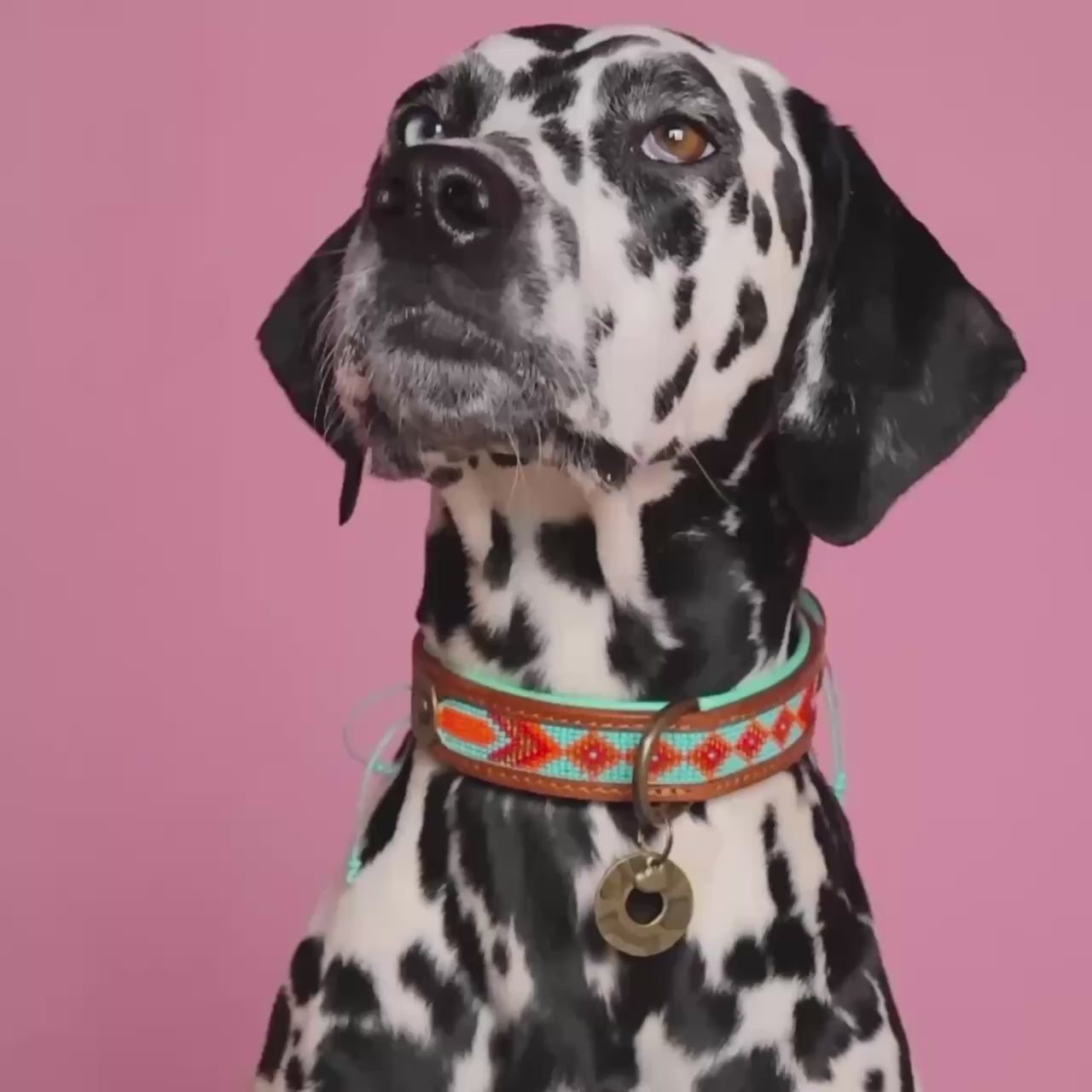 Beads Paddy Lee turquoise hondenhalsband met oranje kralen - Dog with a Mission