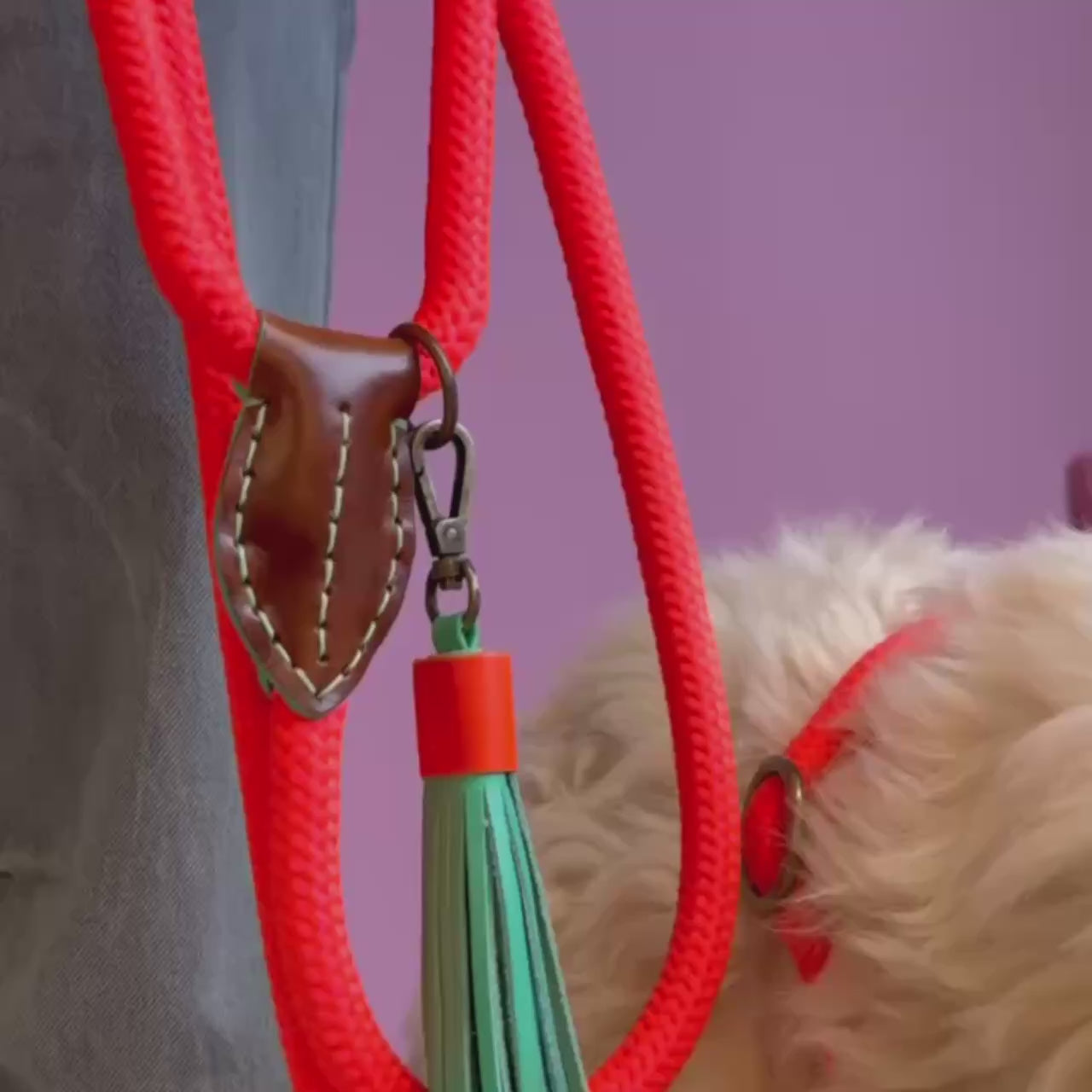 Carrot Cake sliplead touw met stopper oranje - Dog with a Mission