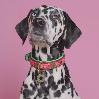 Boho Rosa hondenhalsband XXL - handgemaakt leren halsband met roze bohemian accent voor zeer grote honden