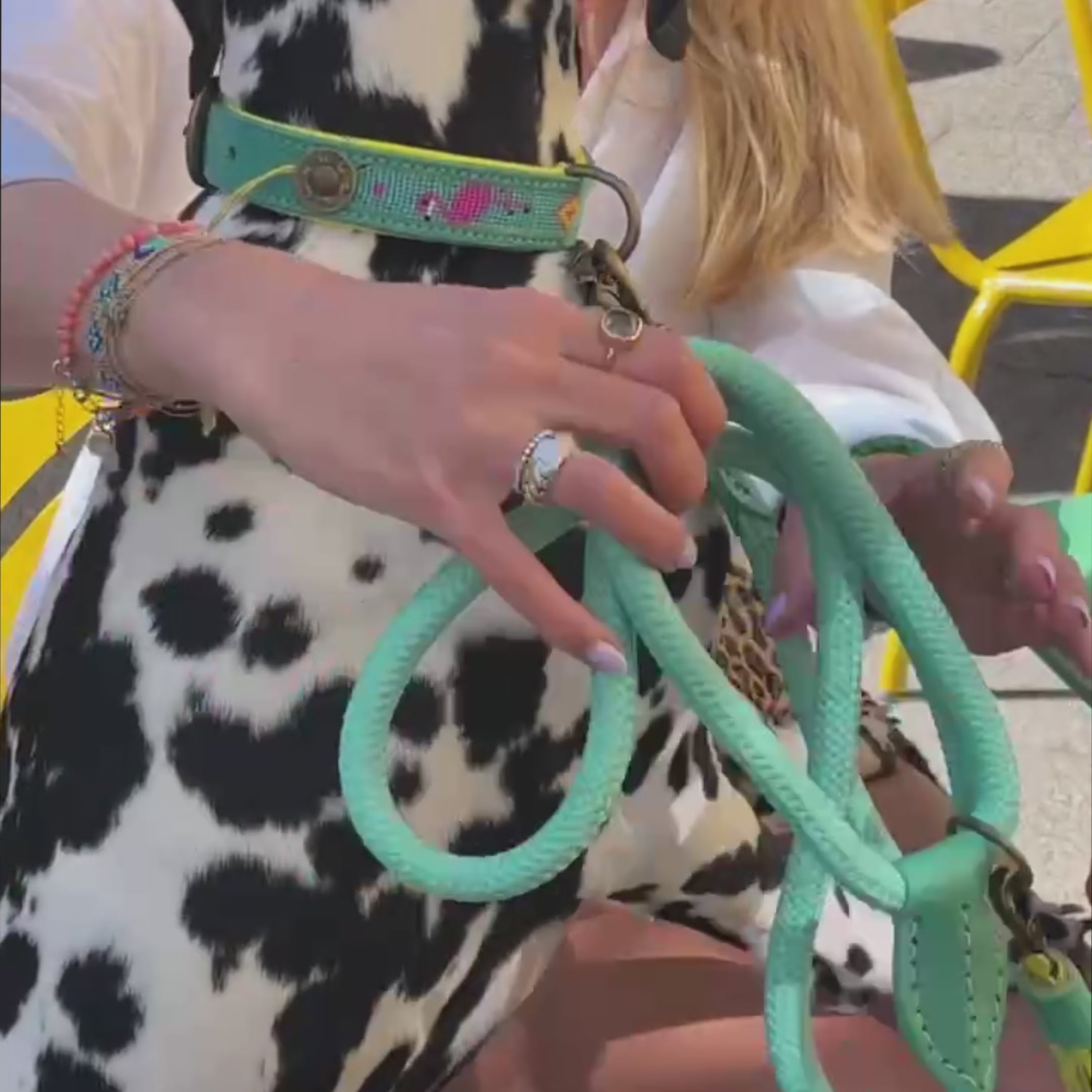 Chogogo hondenhalsband kralen flamingo turquoise roze handgemaakt - Dog with a Mission