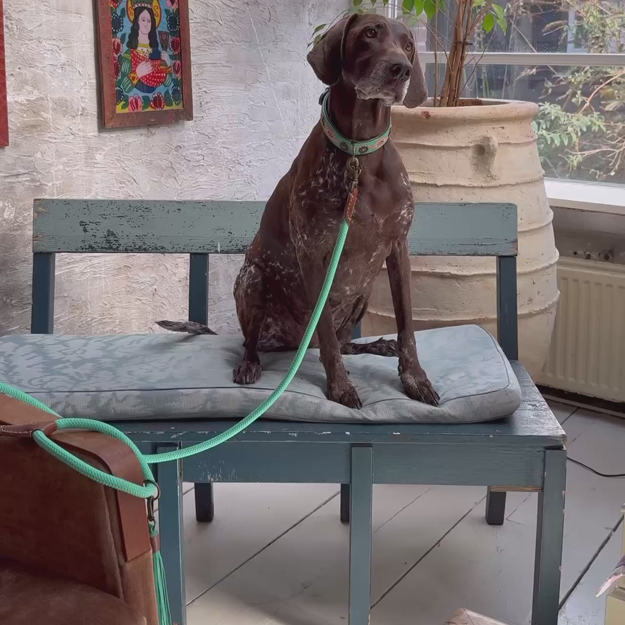 Janis hondenhalsband turquoise leer en Leash Jade hondenriem touw - Dog with a Mission