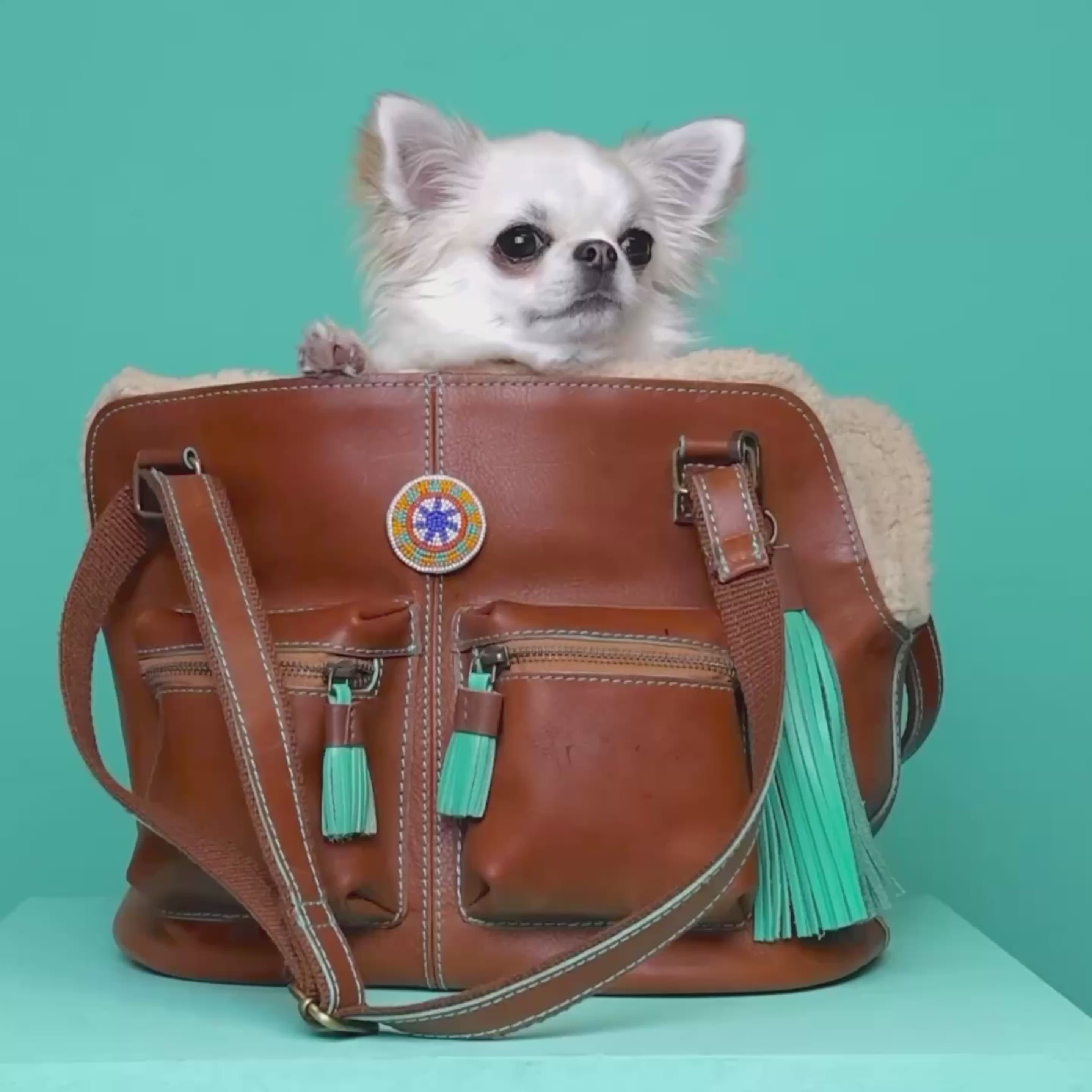 Hipster Bag Blondie Dog Bag ONE SIZE DWAM