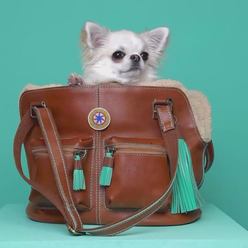 Hipster Bag Blondie leren hondentas met kleine hond - video demonstratie van bruine leren draagtas met turquoise details en franjes