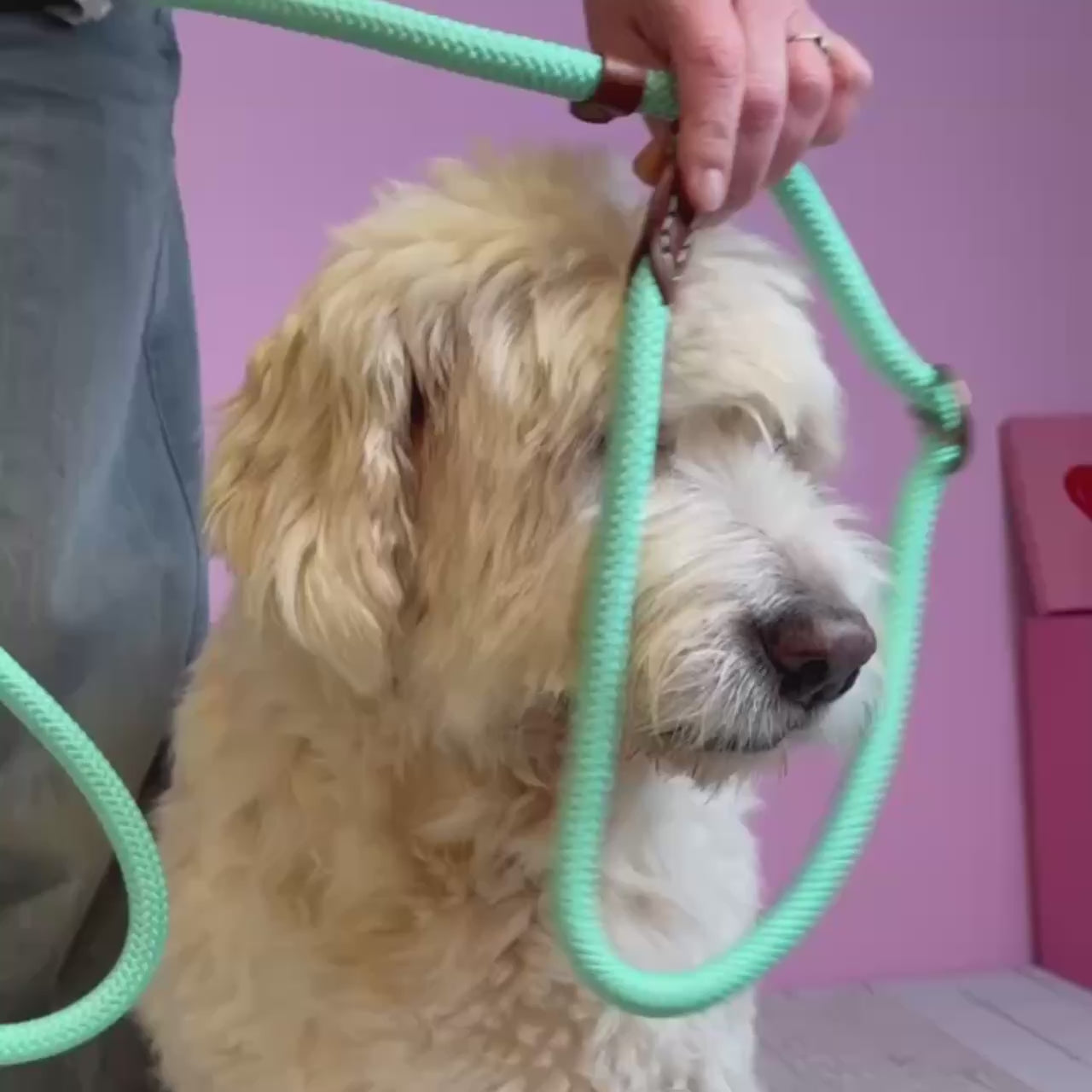 Jade sliplead halsband en riem in één touw met stopper turquoise - Dog with a Mission