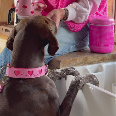 Hond met roze leren halsband Sweety met hartjesprint - Dog with a Mission