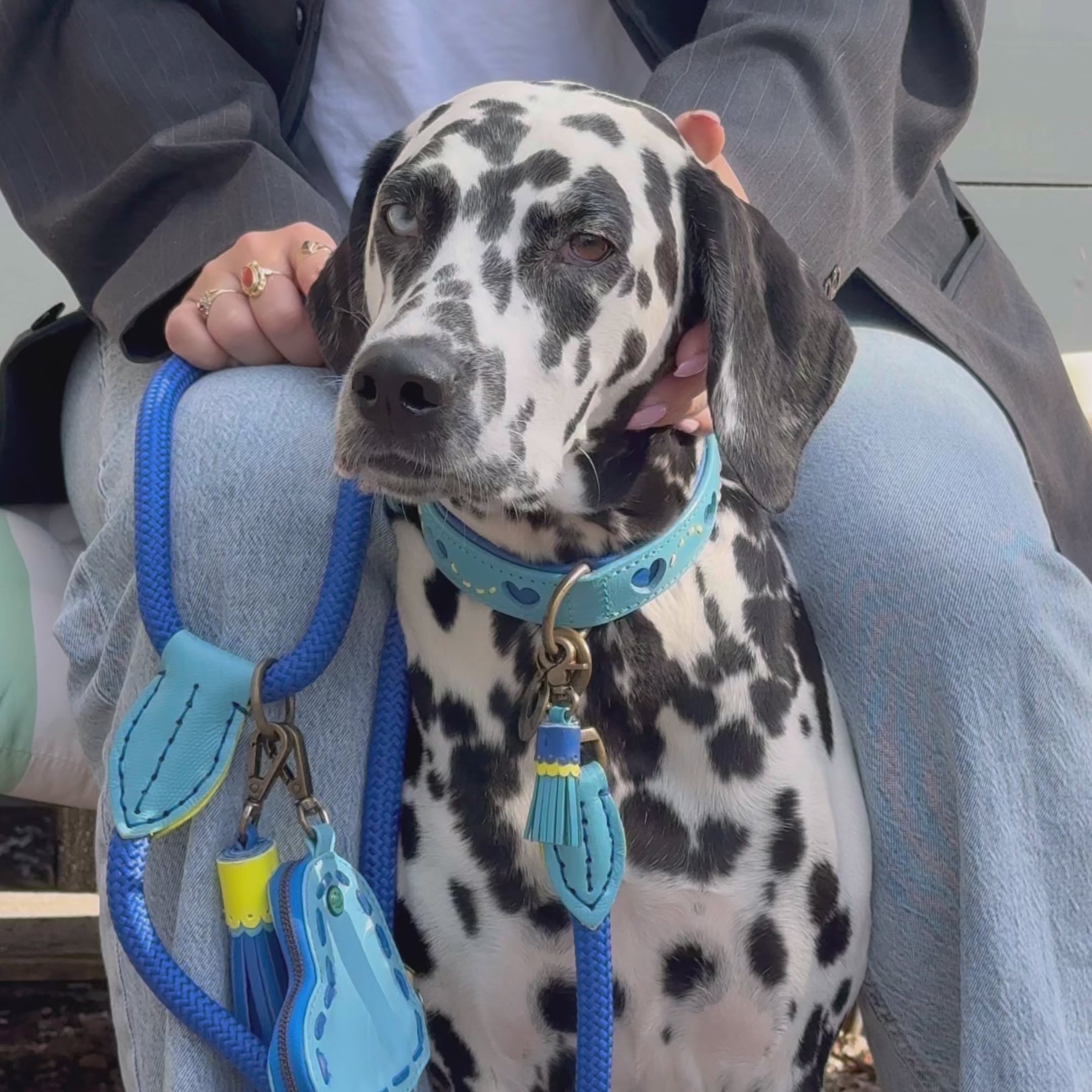 Sky hondenhalsband blauw leer met hartjes - Dog with a Mission