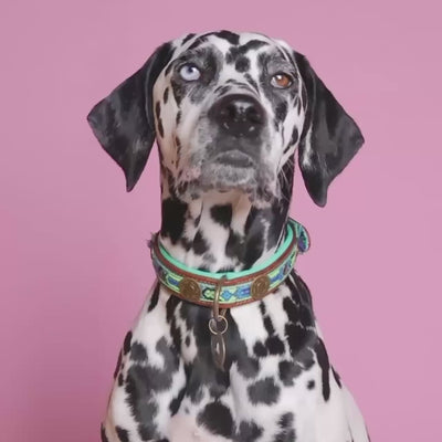 Boho Juan blauwe leren halsband met kwastje Ibiza stijl - Dog with a Mission
