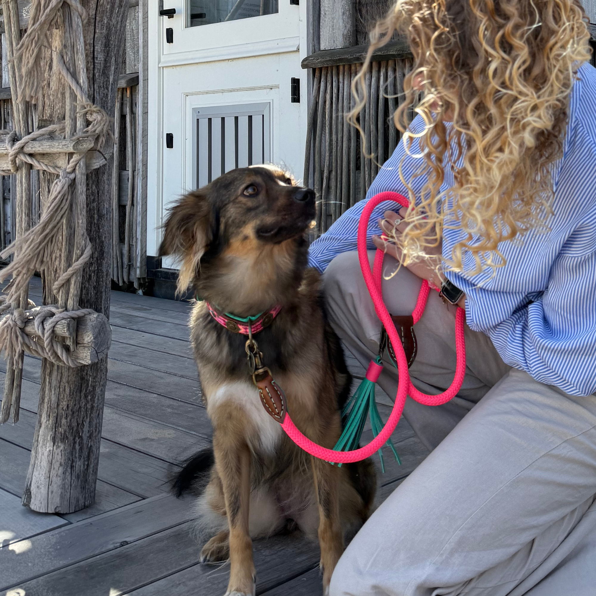 Classic Sugarbabe Hondenriem L (155 X 1,4 cm)