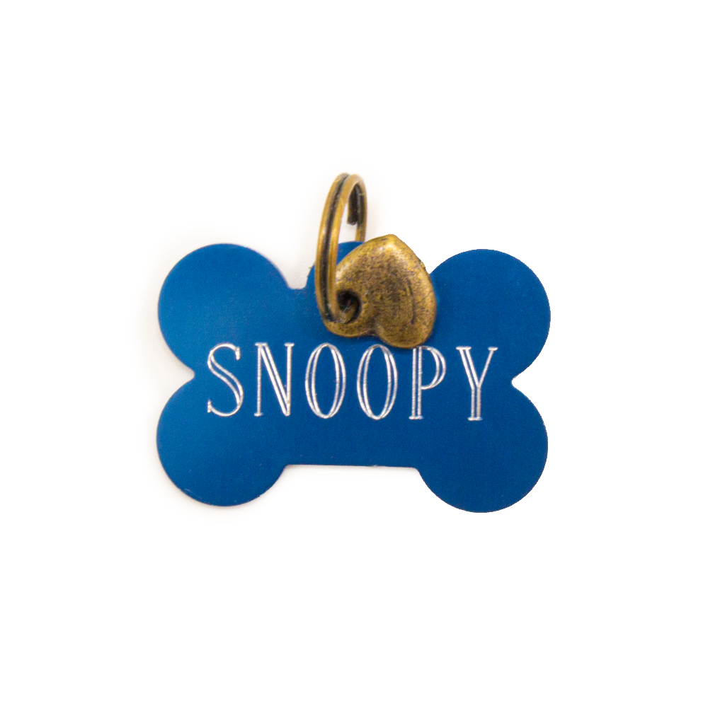 Tag_Bone-Turquoise-LargeFront