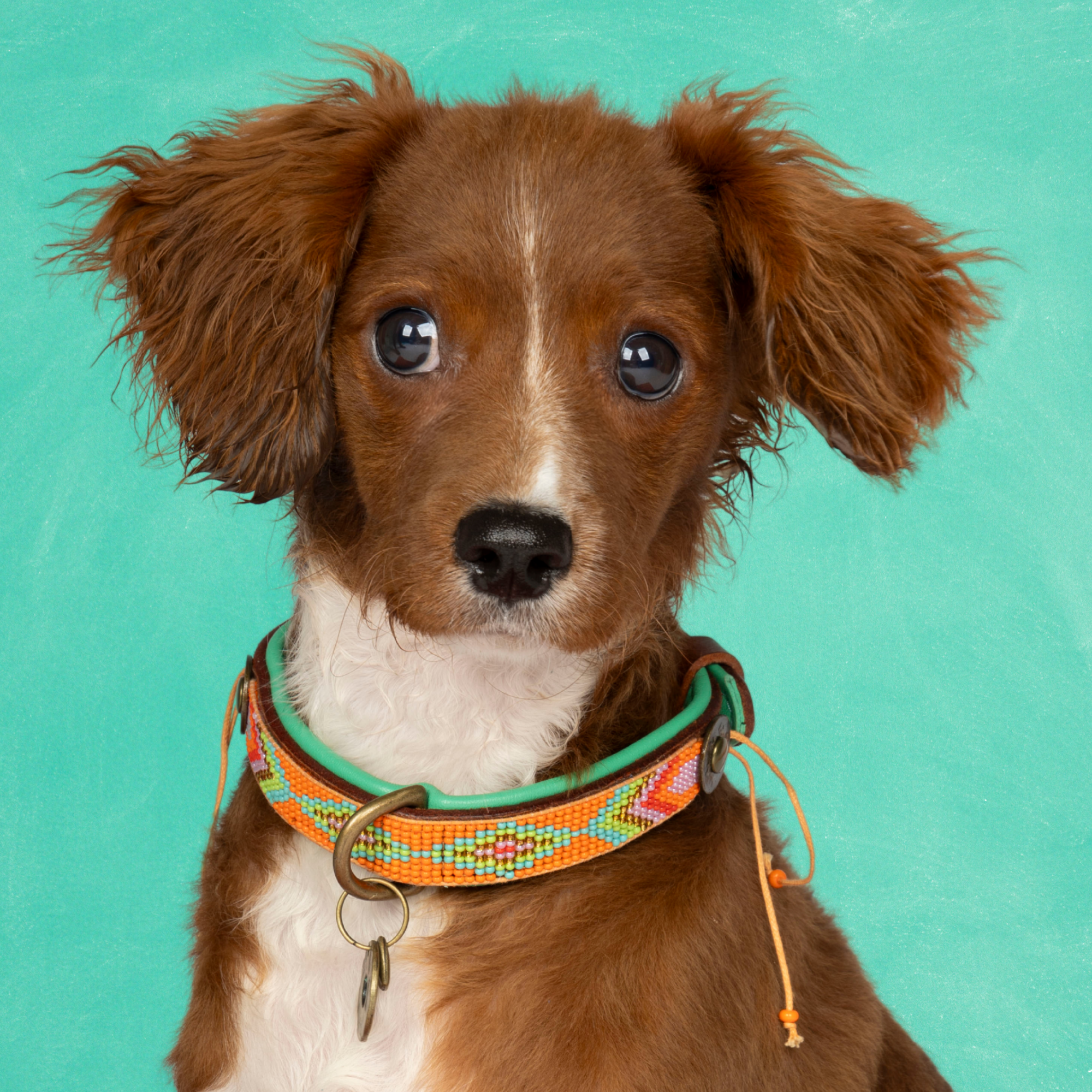 Beads  Tiger Lily Hondenhalsband XS (Halsomvang 23-29 cm / 2 cm)