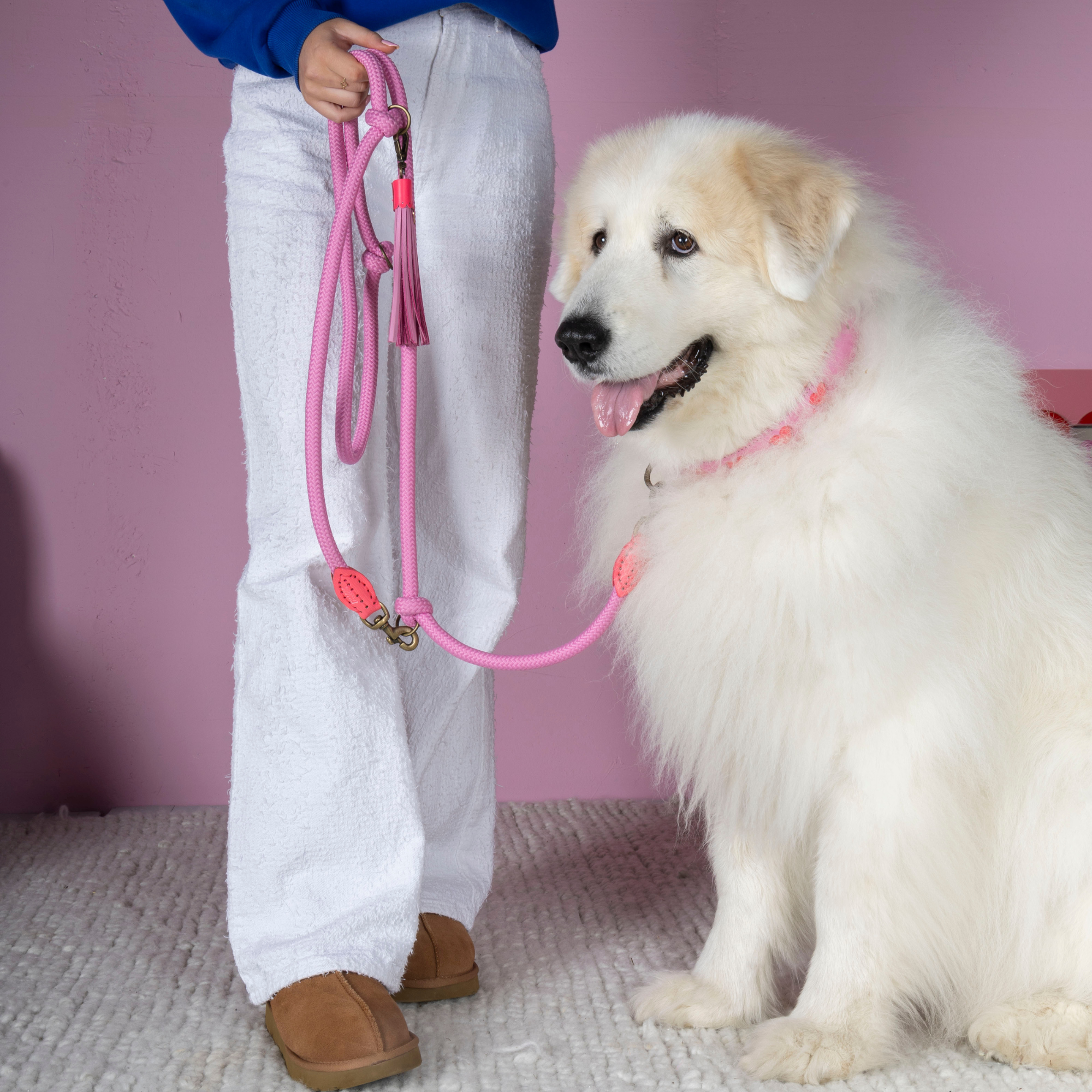 Touw hondenriem in roze met kwastje van Dog with a Mission
