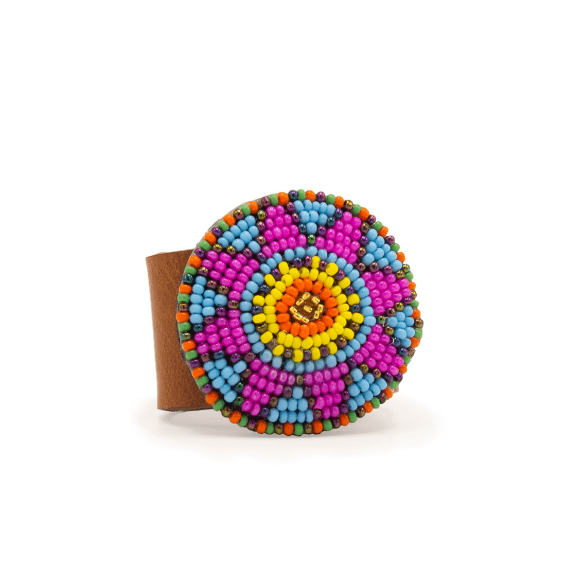 TREASURE_JAIPUR_SCHUINVOOR_DWAM_DOGWITHAMISSION_1100x1100px